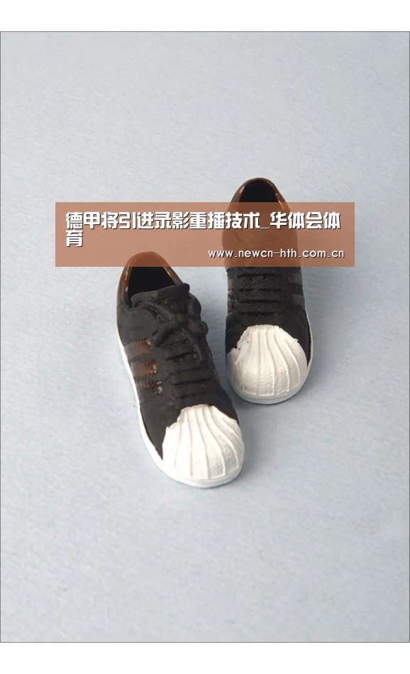 德甲将引进录影重播技术_华体会体育(图1) 华体会体育
