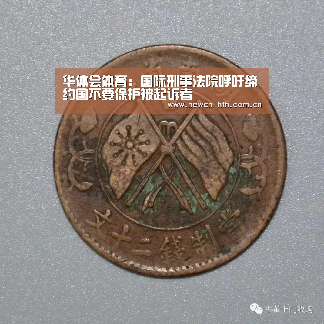 华体会体育:国际刑事法院呼吁缔约国不要保护被起诉者(图2) 华体会体育